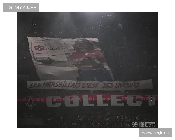 卡迪夫城因球迷恐同言论遭英足总指控